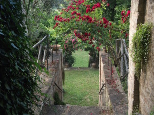 Giardino