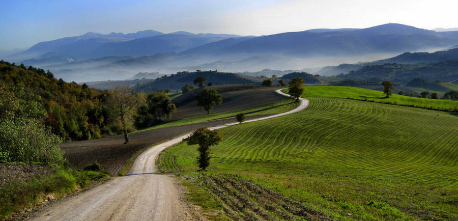 campagna vigneti